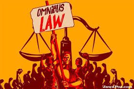 omnibus law